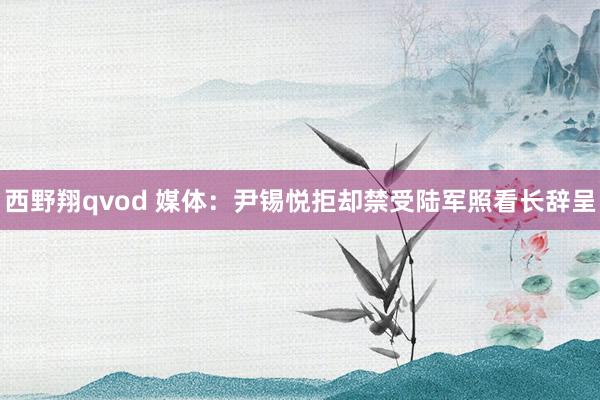 西野翔qvod 媒体：尹锡悦拒却禁受陆军照看长辞呈