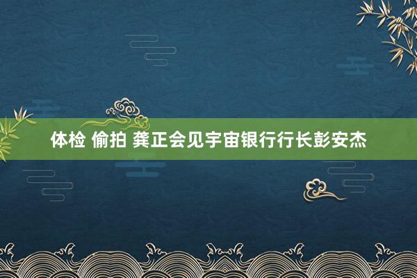 体检 偷拍 龚正会见宇宙银行行长彭安杰