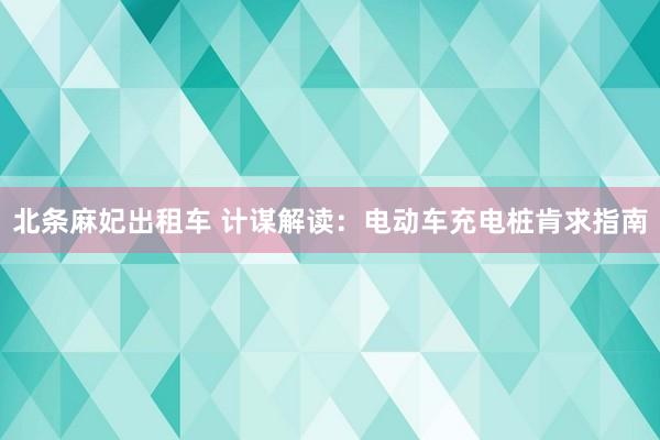 北条麻妃出租车 计谋解读：电动车充电桩肯求指南