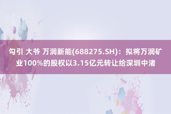 勾引 大爷 万润新能(688275.SH)：拟将万润矿业100%的股权以3.15亿元转让给深圳中渚