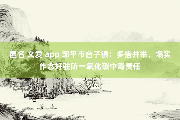 匿名 文爱 app 邹平市台子镇：多措并举，塌实作念好驻防一氧化碳中毒责任