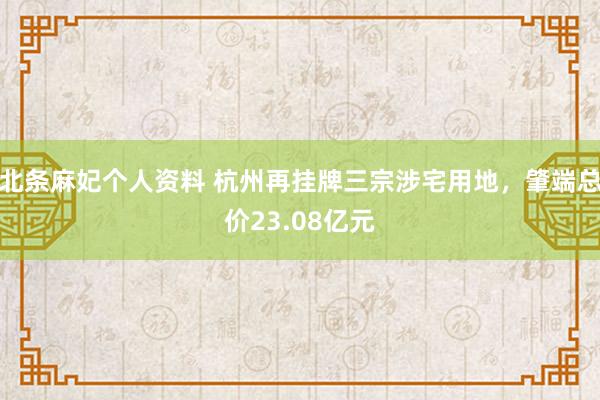 北条麻妃个人资料 杭州再挂牌三宗涉宅用地，肇端总价23.08亿元