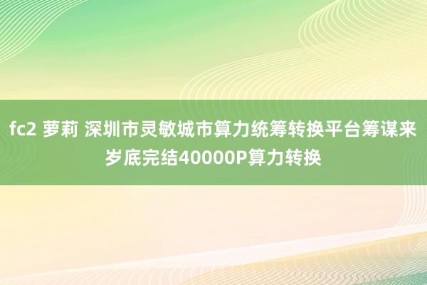 fc2 萝莉 深圳市灵敏城市算力统筹转换平台筹谋来岁底完结40000P算力转换