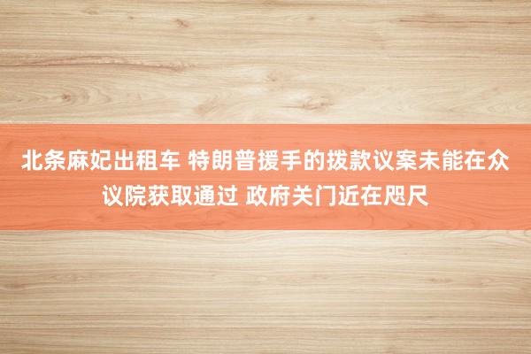 北条麻妃出租车 特朗普援手的拨款议案未能在众议院获取通过 政府关门近在咫尺