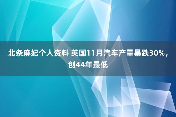 北条麻妃个人资料 英国11月汽车产量暴跌30%，创44年最低