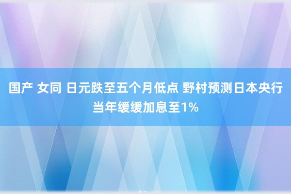 国产 女同 日元跌至五个月低点 野村预测日本央行当年缓缓加息至1%