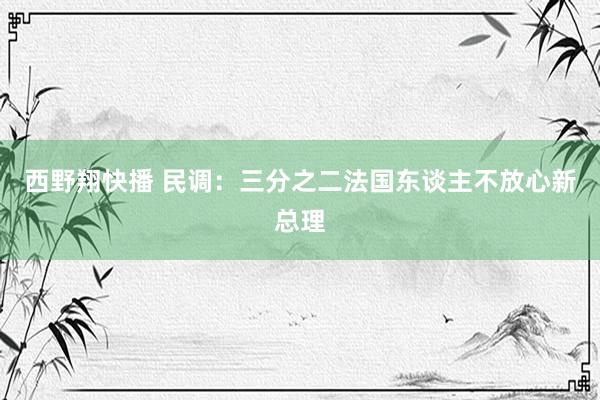 西野翔快播 民调：三分之二法国东谈主不放心新总理