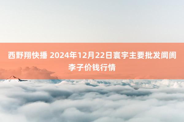 西野翔快播 2024年12月22日寰宇主要批发阛阓李子价钱行情