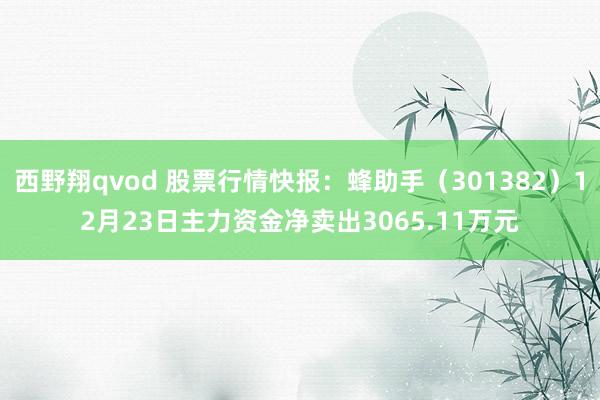 西野翔qvod 股票行情快报：蜂助手（301382）12月23日主力资金净卖出3065.11万元