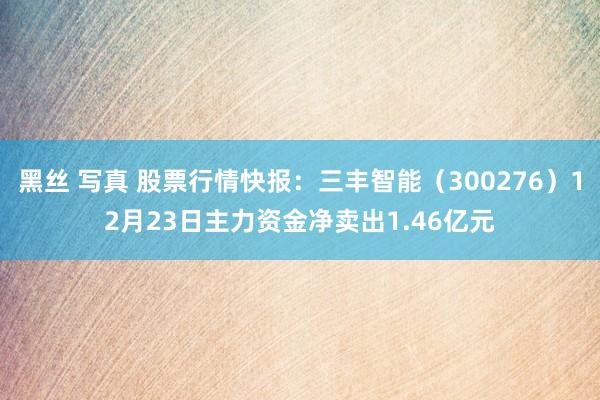 黑丝 写真 股票行情快报：三丰智能（300276）12月23日主力资金净卖出1.46亿元