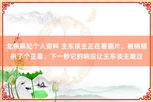 北条麻妃个人资料 主东谈主正在看猫片，被橘猫执了个正着，下一秒它的响应让主东谈主难过