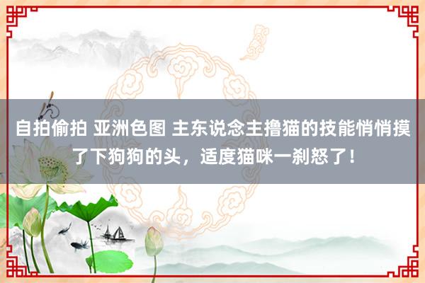 自拍偷拍 亚洲色图 主东说念主撸猫的技能悄悄摸了下狗狗的头，适度猫咪一刹怒了！