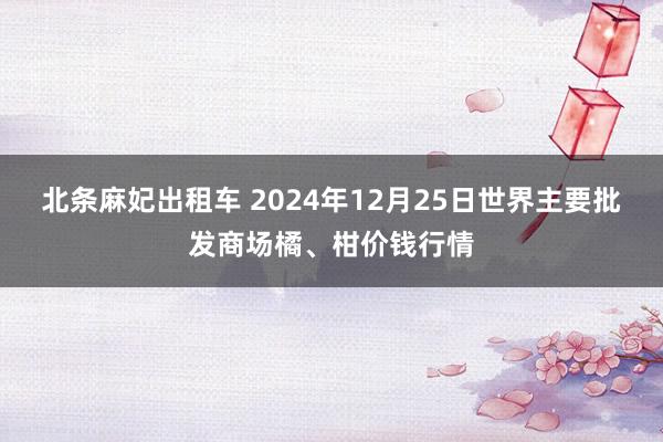 北条麻妃出租车 2024年12月25日世界主要批发商场橘、柑