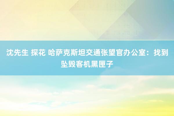 沈先生 探花 哈萨克斯坦交通张望官办公室：找到坠毁客机黑匣子