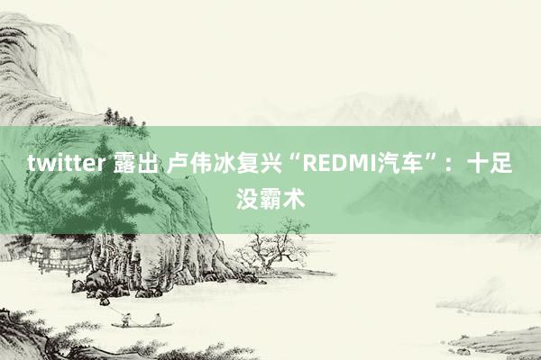 twitter 露出 卢伟冰复兴“REDMI汽车”：十足没霸