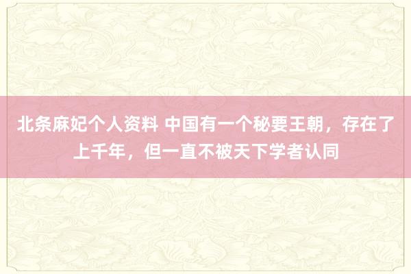 北条麻妃个人资料 中国有一个秘要王朝，存在了上千年，但一直不被天下学者认同