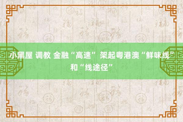 小黑屋 调教 金融“高速” 架起粤港澳“鲜味线”和“线途径”