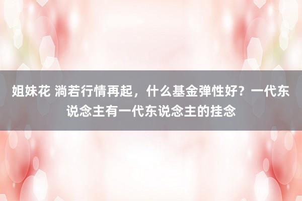 姐妹花 淌若行情再起，什么基金弹性好？一代东说念主有一代东说念主的挂念