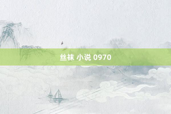 丝袜 小说 0970