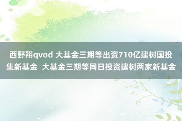 西野翔qvod 大基金三期等出资710亿建树国投集新基金  