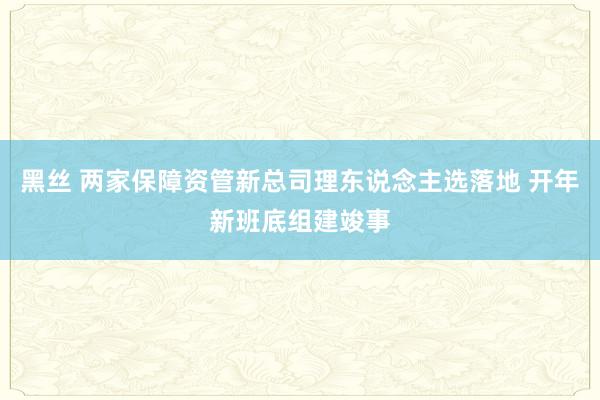 黑丝 两家保障资管新总司理东说念主选落地 开年新班底组建竣事