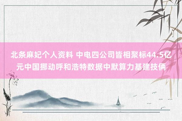 北条麻妃个人资料 中电四公司皆相聚标44.5亿元中国挪动呼和浩特数据中默算力基建技俩