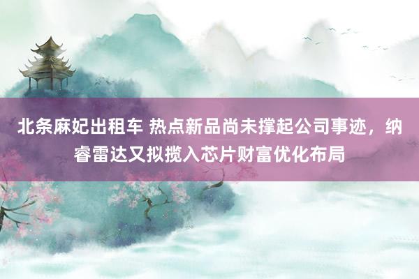 北条麻妃出租车 热点新品尚未撑起公司事迹，纳睿雷达又拟揽入芯