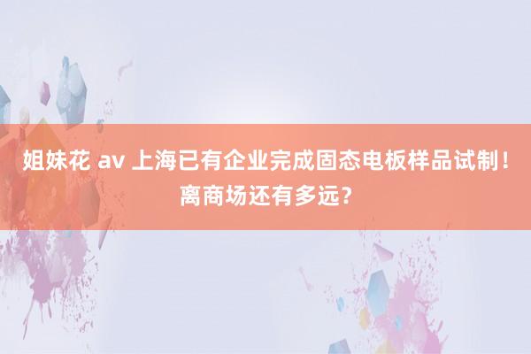 姐妹花 av 上海已有企业完成固态电板样品试制！离商场还有多