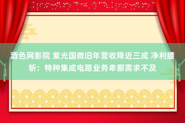 酒色网影院 紫光国微旧年营收降近三成 净利腰斩：特种集成电路