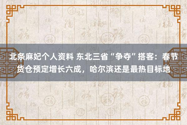 北条麻妃个人资料 东北三省“争夺”搭客：春节货仓预定增长六成