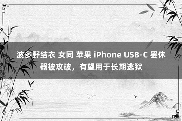 波多野结衣 女同 苹果 iPhone USB-C 罢休器被攻