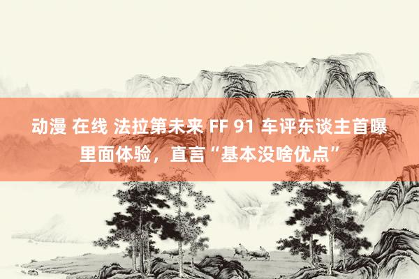 动漫 在线 法拉第未来 FF 91 车评东谈主首曝里面体验，