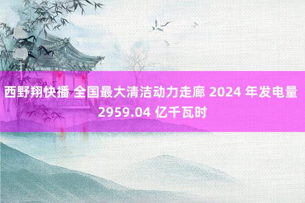 西野翔快播 全国最大清洁动力走廊 2024 年发电量 2959.04 亿千瓦时