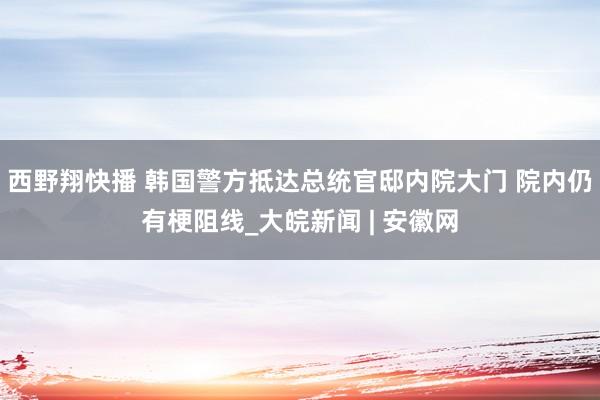 西野翔快播 韩国警方抵达总统官邸内院大门 院内仍有梗阻线_大皖新闻 | 安徽网