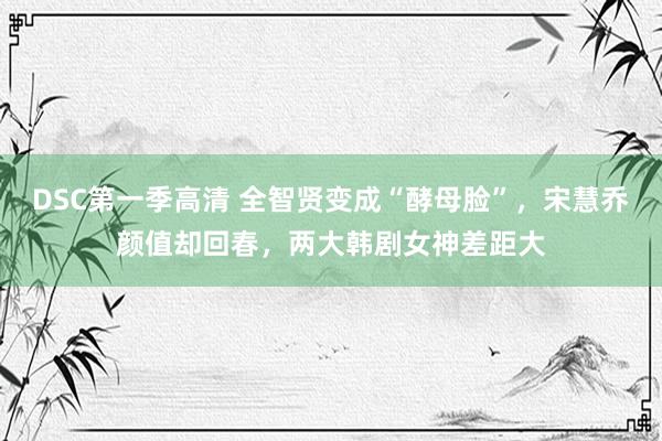 DSC第一季高清 全智贤变成“酵母脸”，宋慧乔颜值却回春，两
